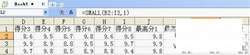 教程：利用WPS快速计算平均分